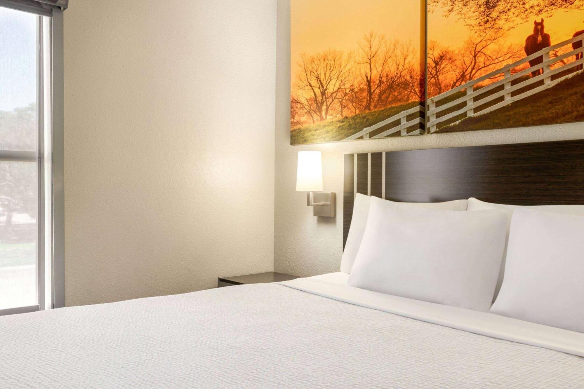 Days Inn By Wyndham San Antonio Near Fiesta Park Kültér fotó